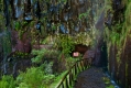 438_Madera_Levada Risco